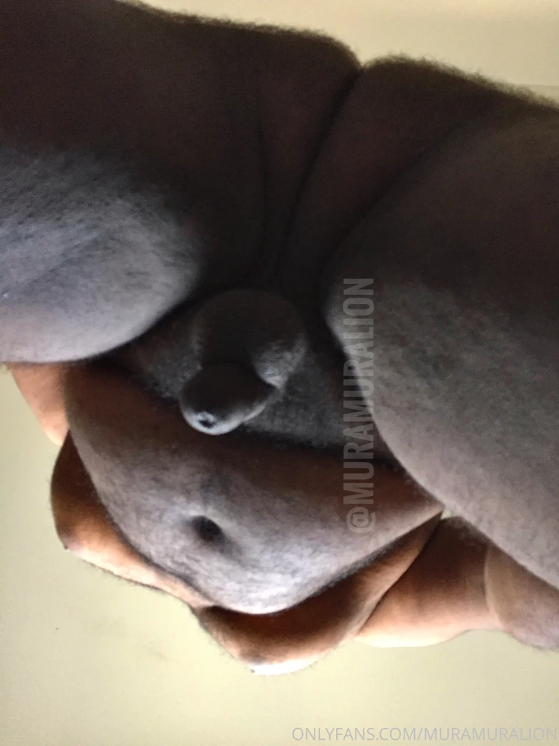 Forgot to post these extra pics from my last twitter post this surely part 1 
