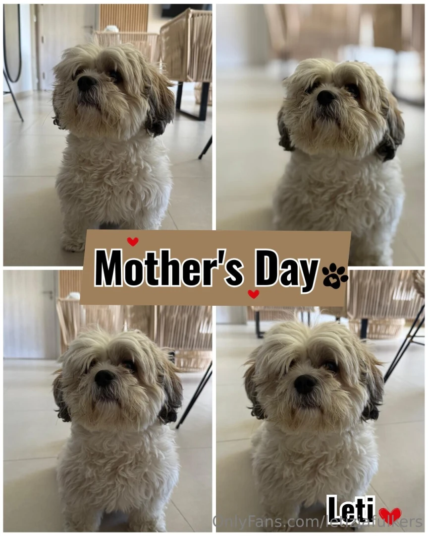 Yes i am a mom but of the most spoiled and spoiled dog in the world 