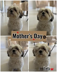 Yes i am a mom but of the most spoiled and spoiled dog in the world