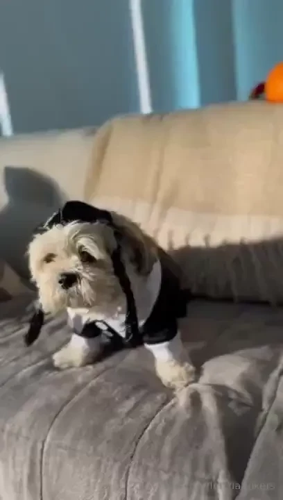 Leti wants to celebrate with you the last day of october can you help 