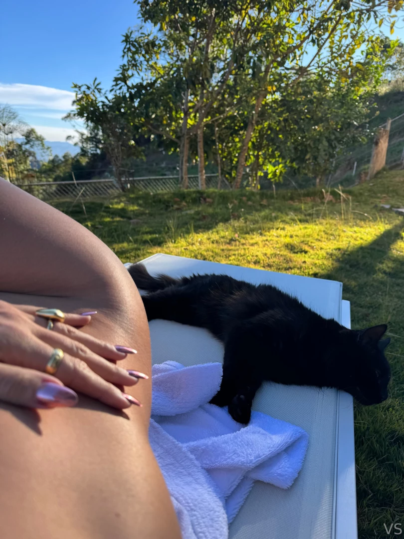 Legally blonde watch me shine under the sun part 3 