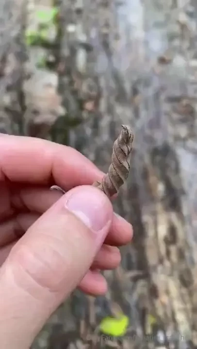 The things i love the most 