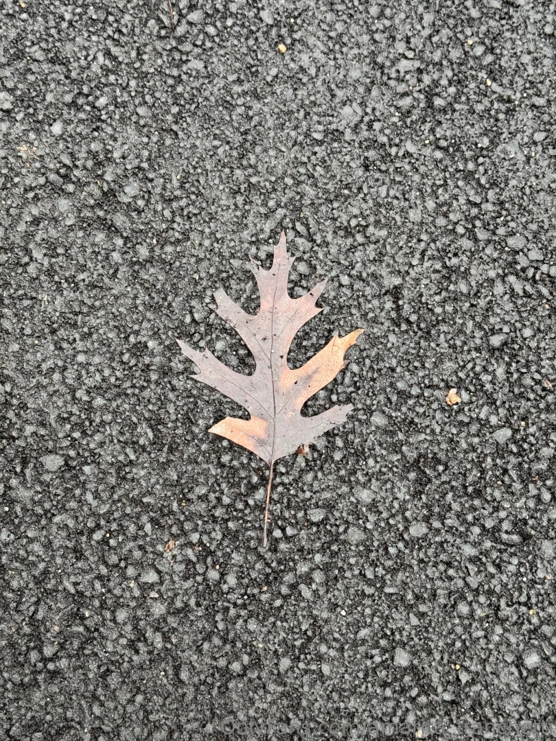 Look at my city through my eyes part 4 