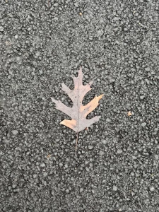 Look at my city through my eyes part 4