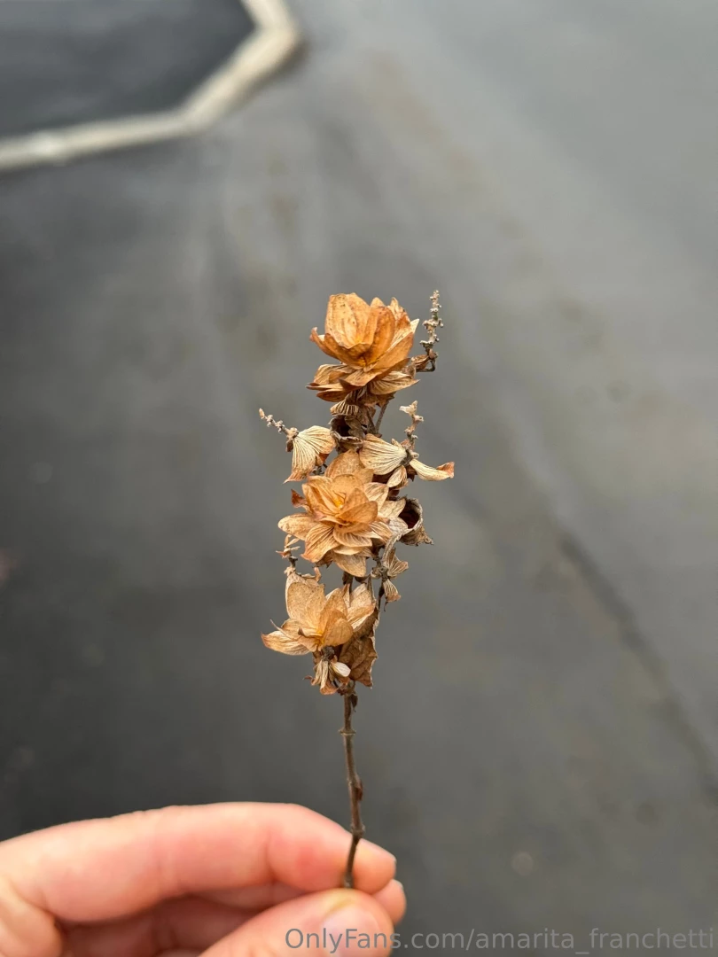 Look at my city through my eyes part 6 