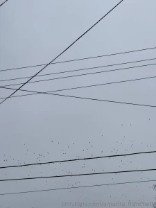 Look at my city through my eyes part 10