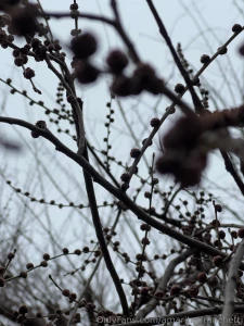 Look at my city through my eyes part 13