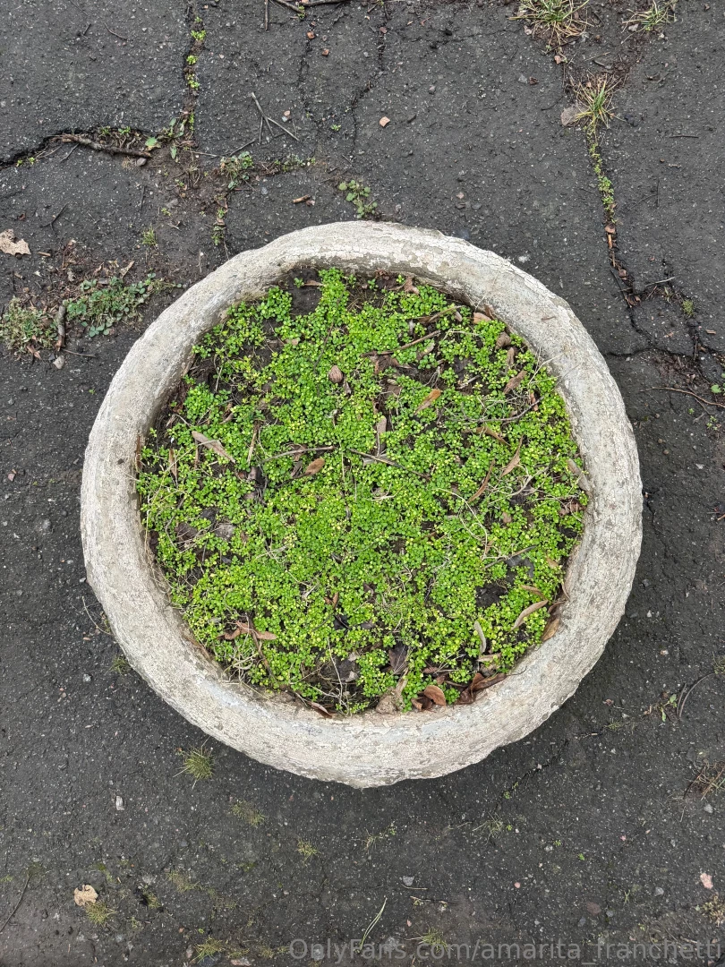 Look at my city through my eyes part 11 