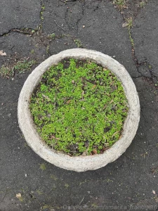 Look at my city through my eyes part 11