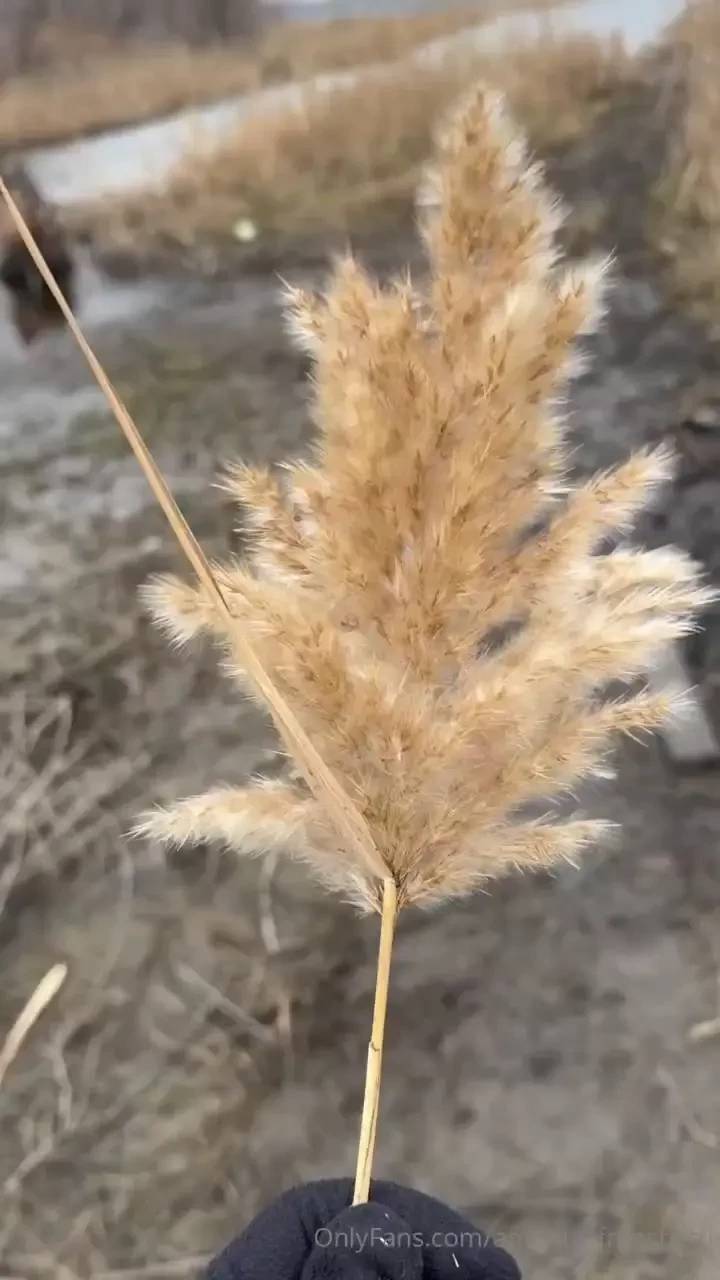 Mood of my day part 1 