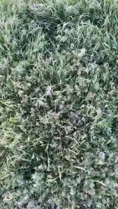 My beautiful world part 6 