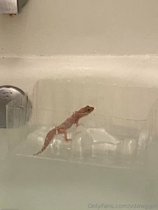 Did i mention that sometimes when i take a bath i bring my pet gecko part 3