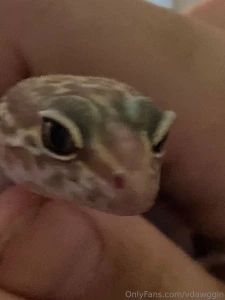 Did i mention that sometimes when i take a bath i bring my pet gecko part 1