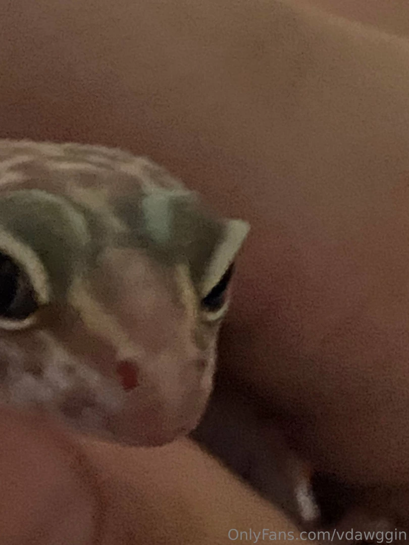 Did i mention that sometimes when i take a bath i bring my pet gecko part 5 