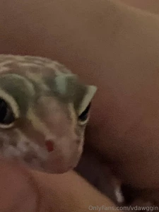 Did i mention that sometimes when i take a bath i bring my pet gecko part 5