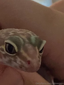 Did i mention that sometimes when i take a bath i bring my pet gecko part 2