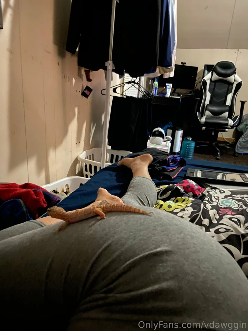 I thought my ass was bussin the other day and my pet gecko doesn t 