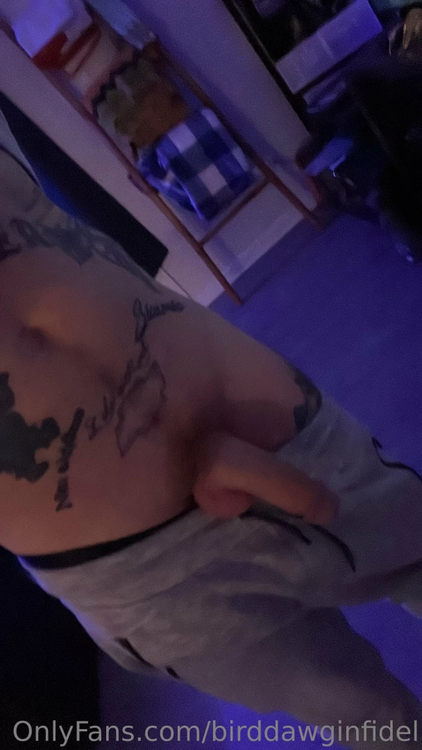 Birddawginfidel part 12 