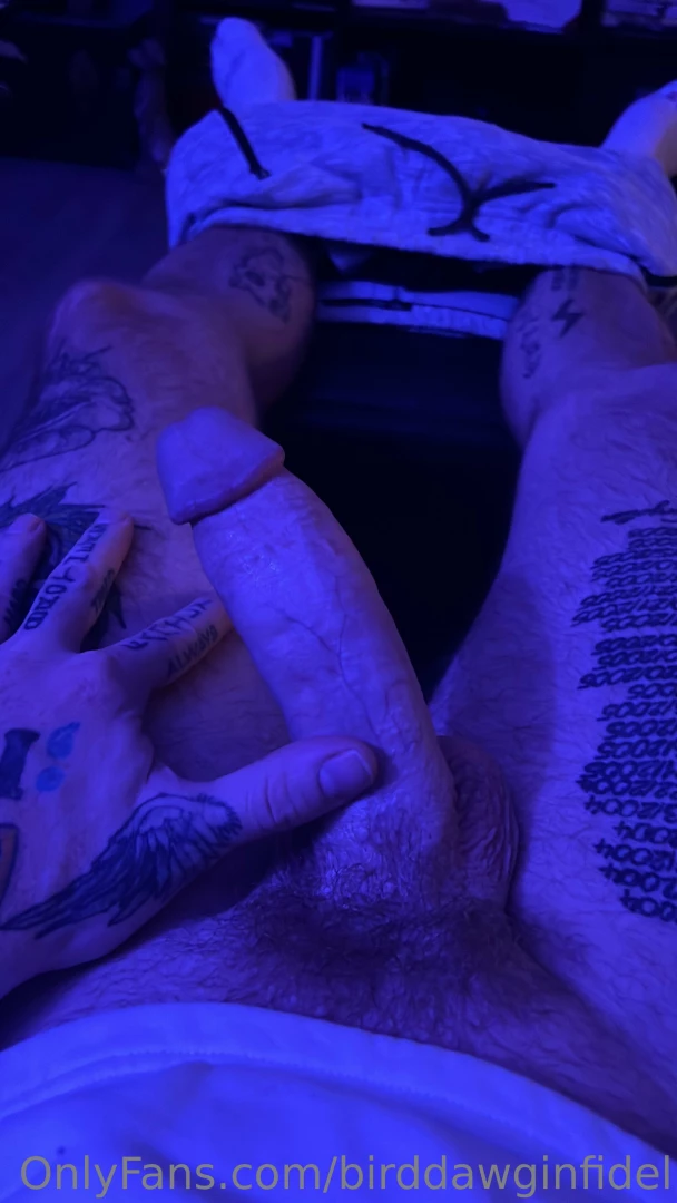 Birddawginfidel part 11 