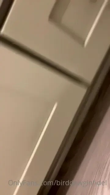 Birddawginfidel part 2 