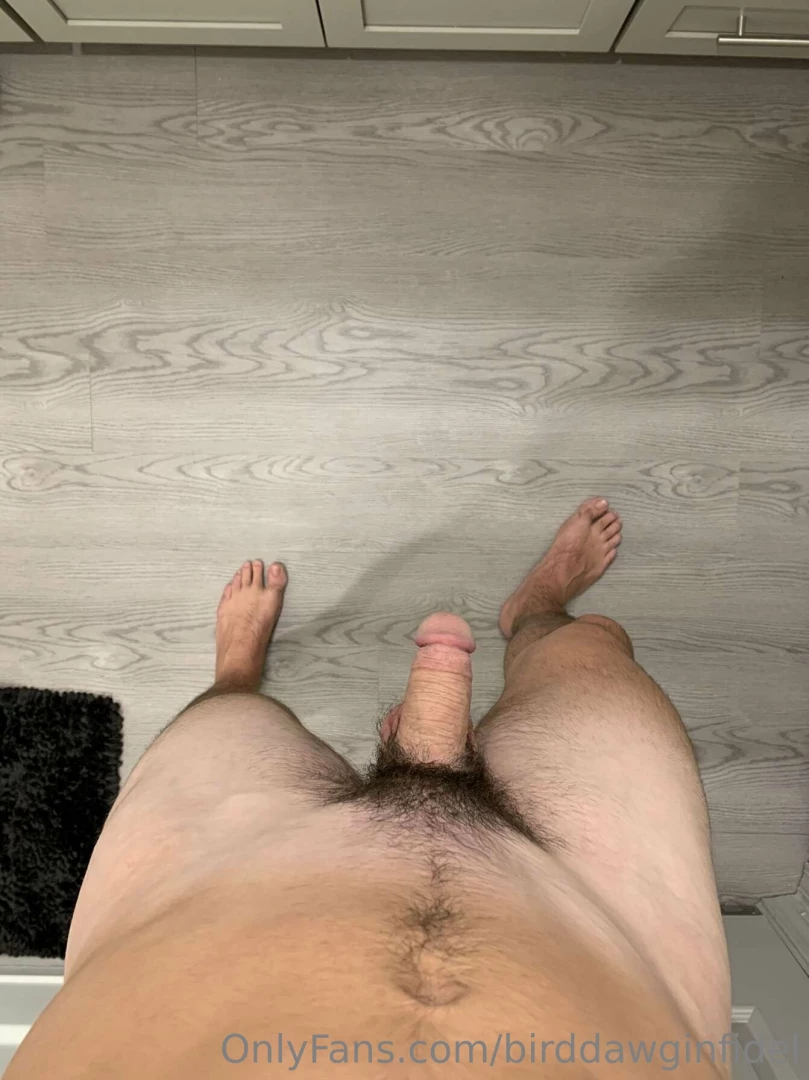 Birddawginfidel part 15 