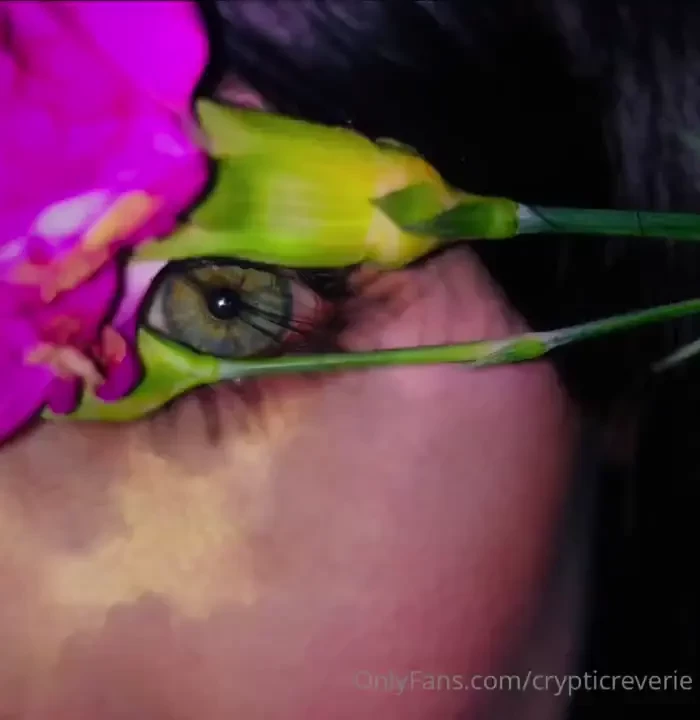 Crypticreverie part 1 