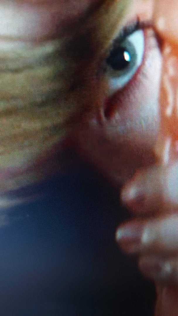 Am i just cutting minutes-long intense fake bj footage of ashley maybe 