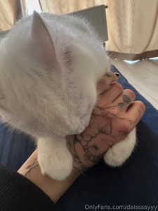 This is the cutest bite i ve ever had in my life