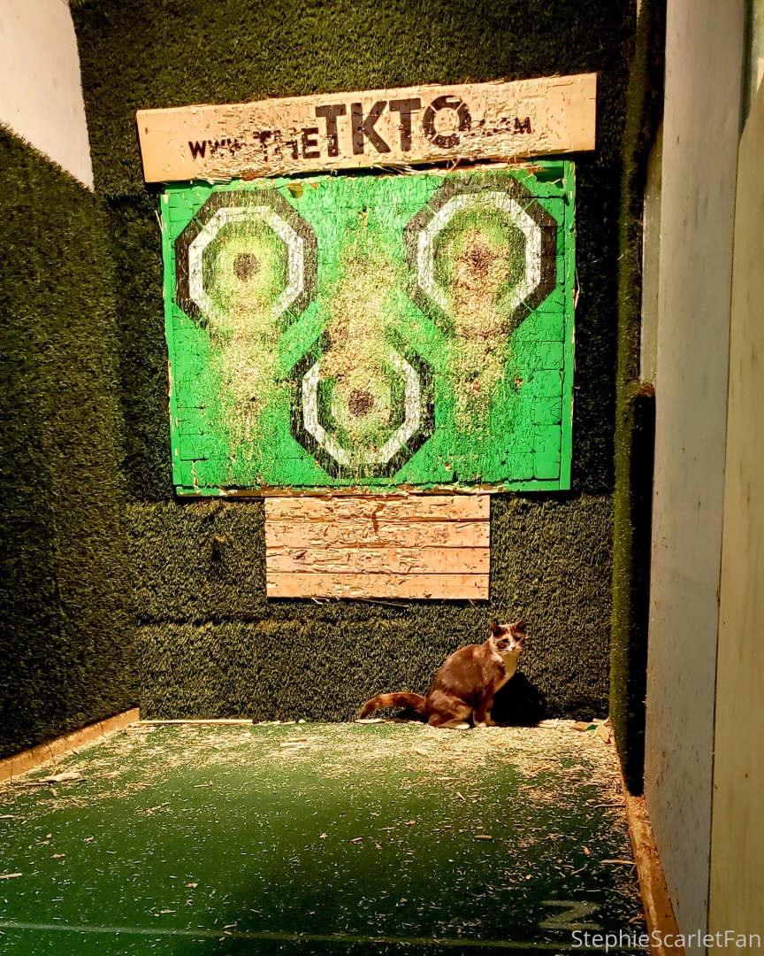 Got invited out to knife throwing today by my awesome friend ginger part 2 