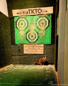 Got invited out to knife throwing today by my awesome friend ginger part 2