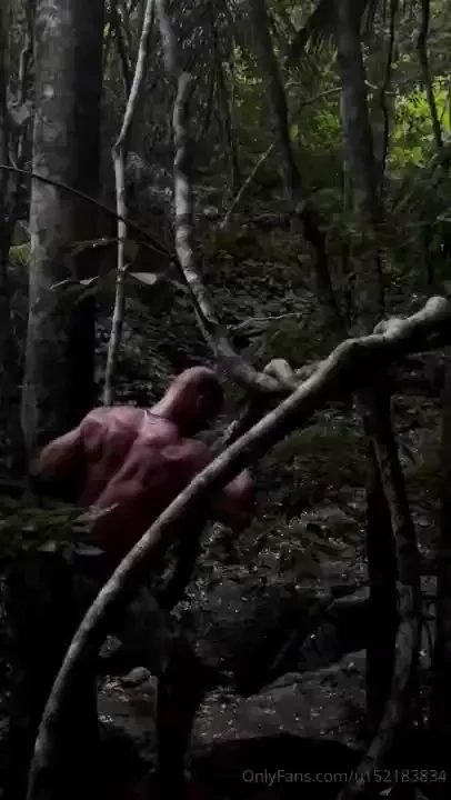 Monkey business part 2 