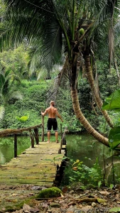 The energy around us part 4