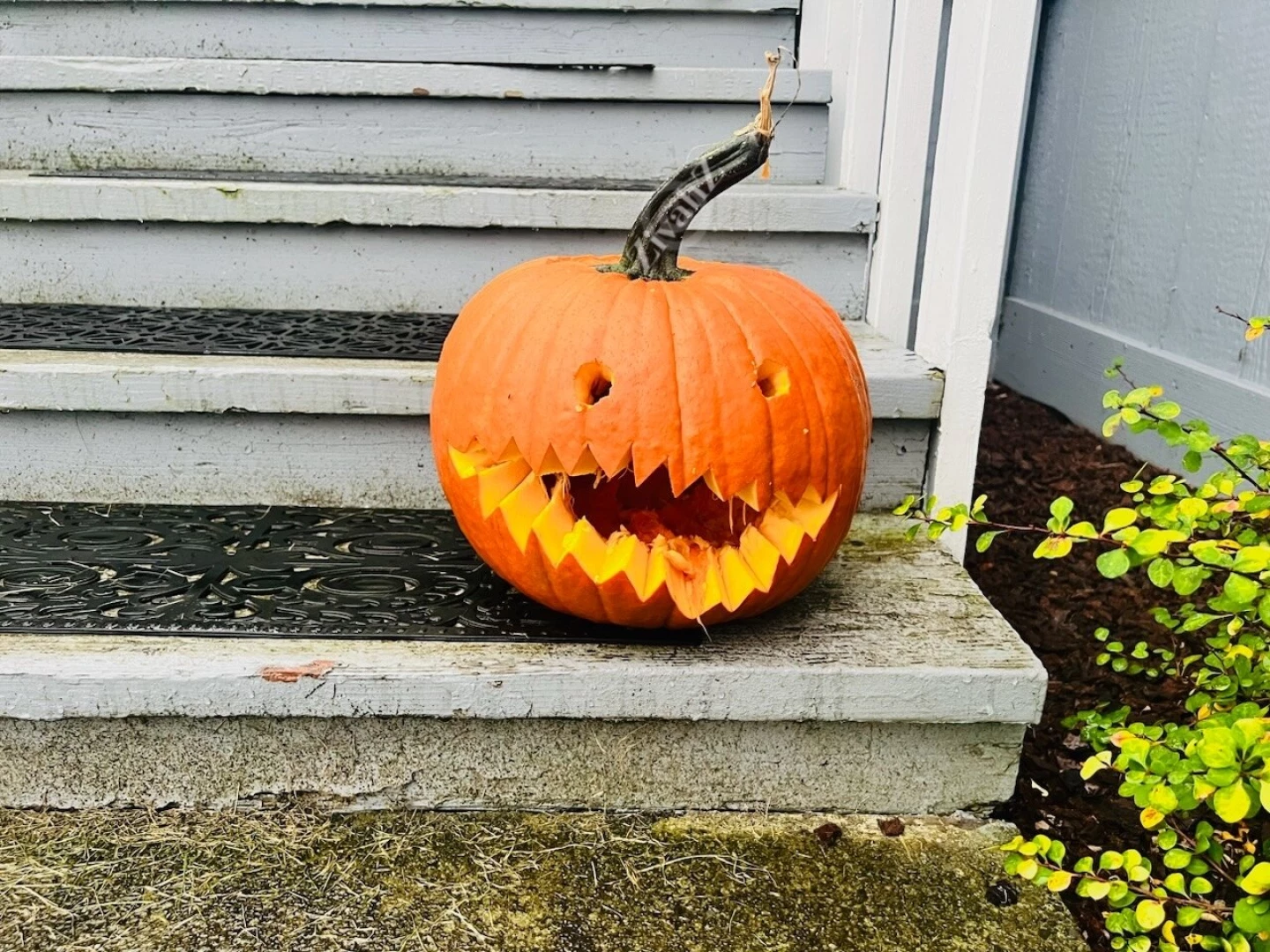 Let s spice things up part 4 