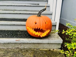 Let s spice things up part 4