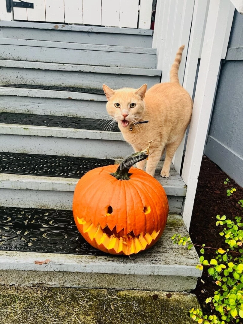 Let s spice things up part 5 