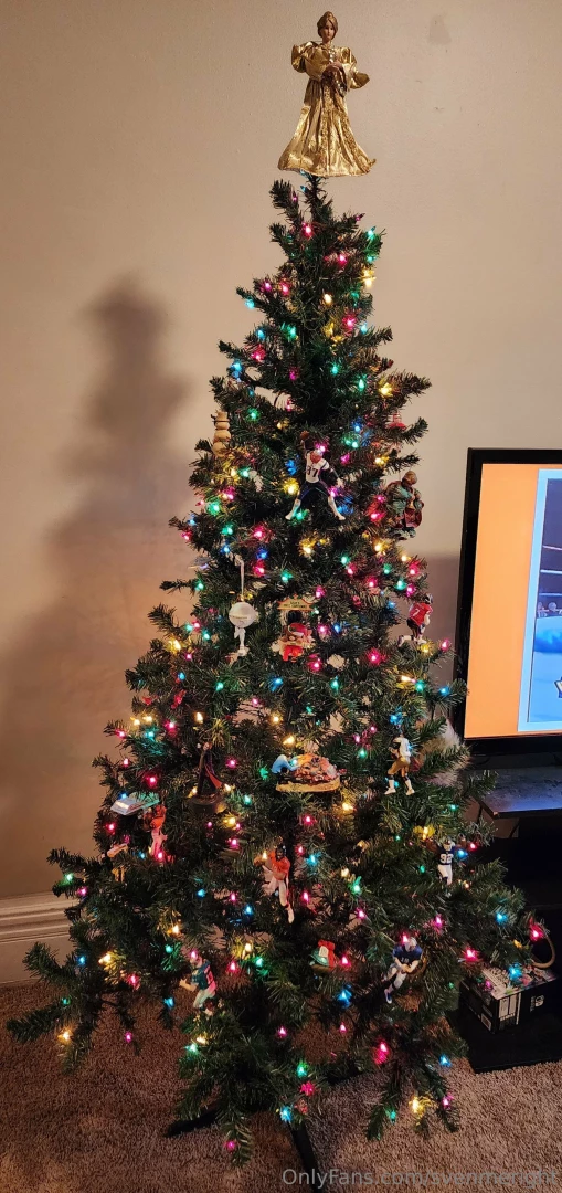 I got the christmas tree put up it was nice to feel great about 