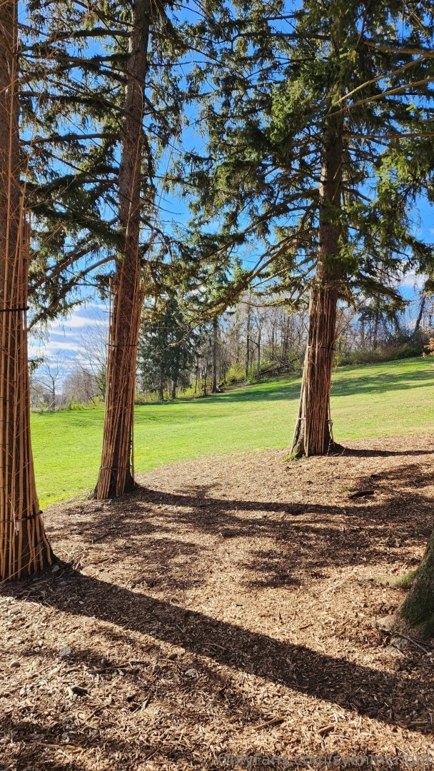 Some pics from my round of disc golf at a first-time visited course 