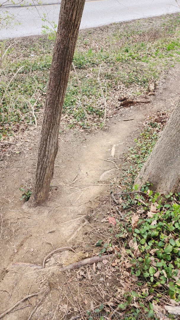 Some pics from my round of disc golf at a first-time visited course part 3 