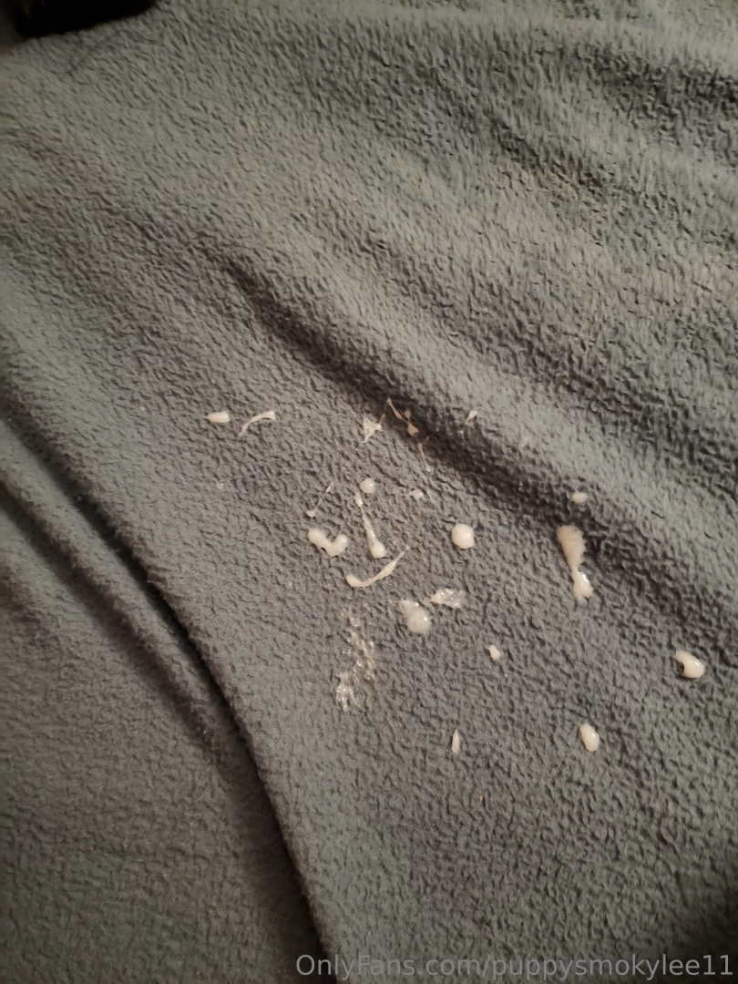 Puppy made a mess 