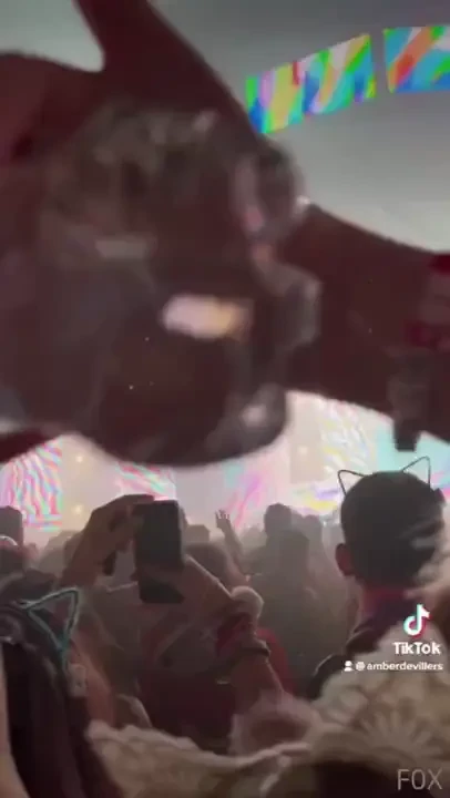 Two day rave i was at for new years 