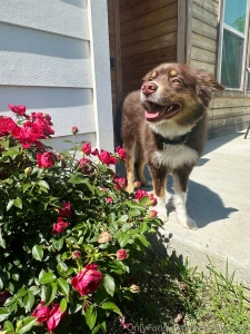 Comment your favorite part of my day