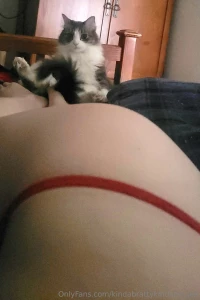 Flu got us down bad around here part 2