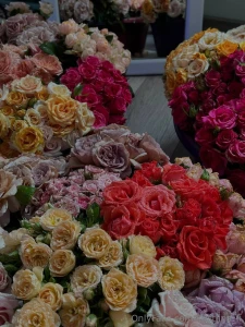 Syntym p iv ni on muutaman p iv n p st ja mietin mit tekisit jos