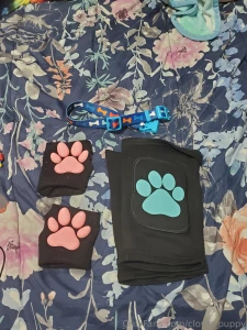 My puppy knee pads came in so expect some new puppy content in the