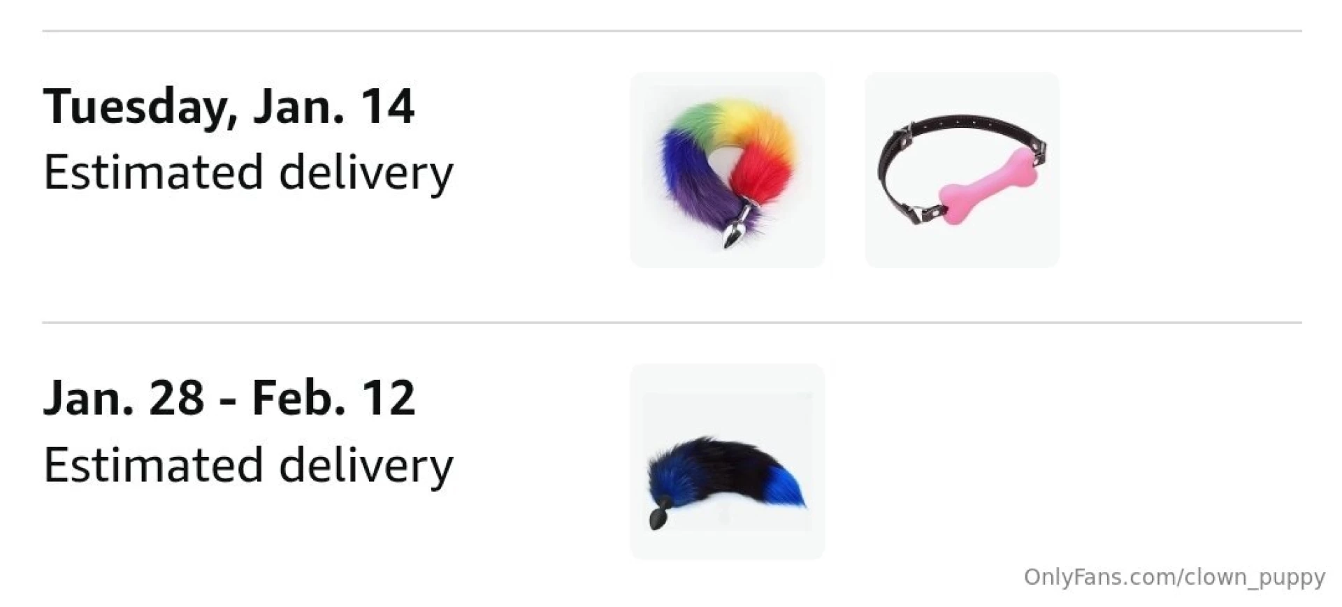 Someone got me some tails to go with my puppy ears these are my first 