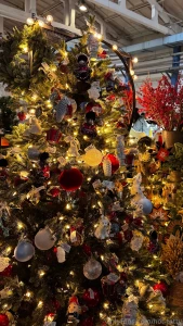 I often hear people say that they are annoyed by the christmas rush