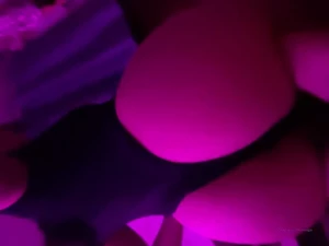 Sucky part 2
