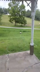 Got my winders clean 4 vids 1 gif 1 pic part 1