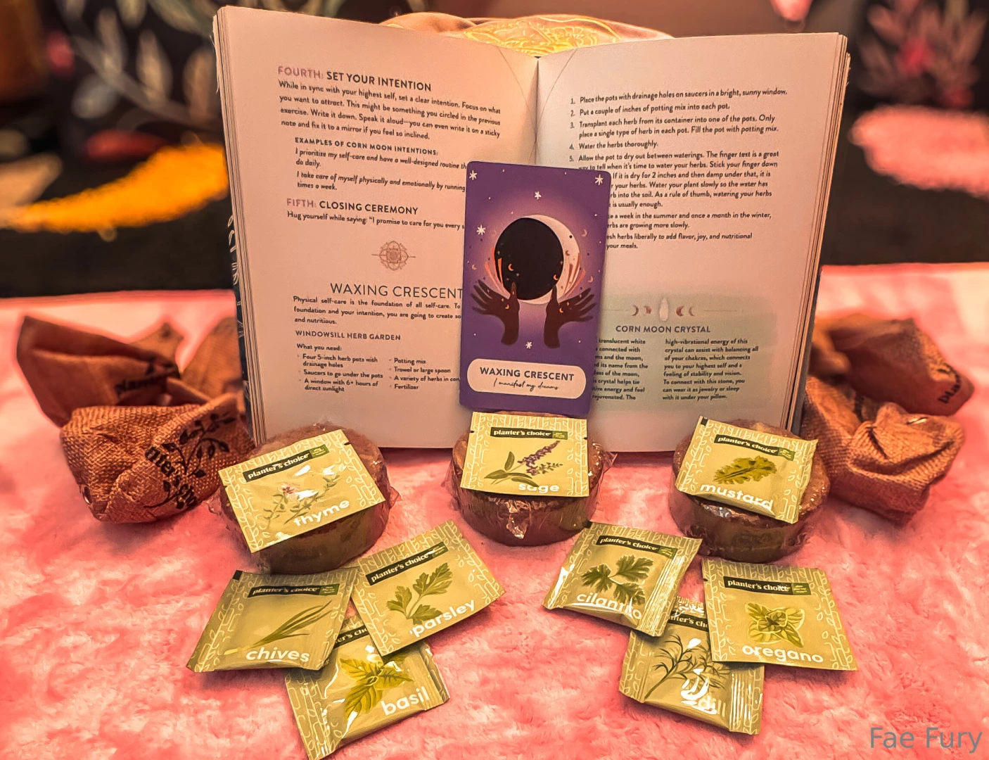 I m germinating herbs but who s going to germinate me part 1 