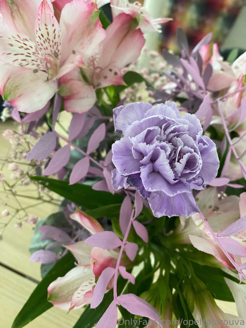 Muista t n n naistenp iv n kaikkia ihania naisia opettaja rouva part 1 